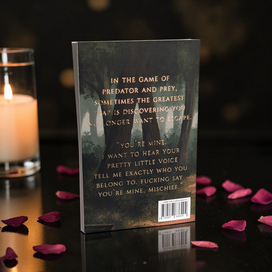 Game Over — Spicy Illustrated Edition Paperback